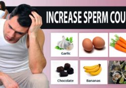 10 Foods That Increase Sperm Count