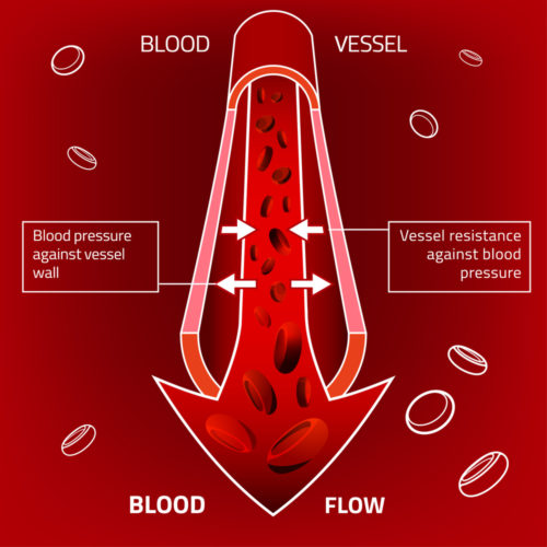 How to Increase Blood Flow In Penis?