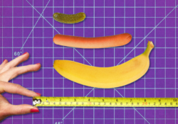 The Truth about Penis Size