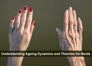 Understanding Ageing Dynamics and Theories for Nerds