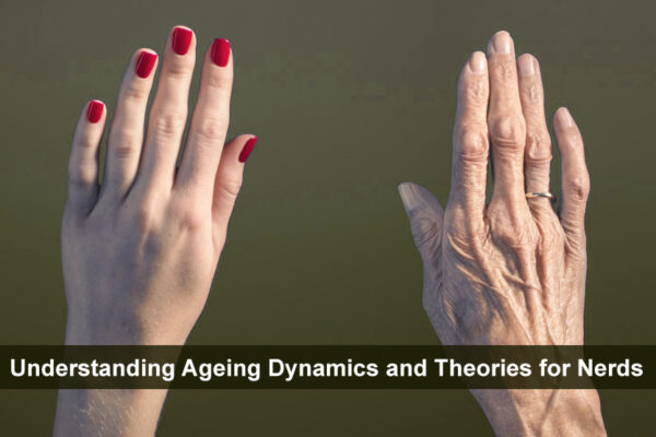 Understanding Ageing Dynamics and Theories for Nerds